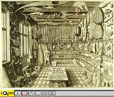 Museum Wormianum