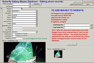 Butterfly Gallery Master Database - Editing photo records