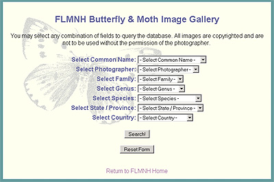 FLNMH Butterfly & Moth Image Gallery
