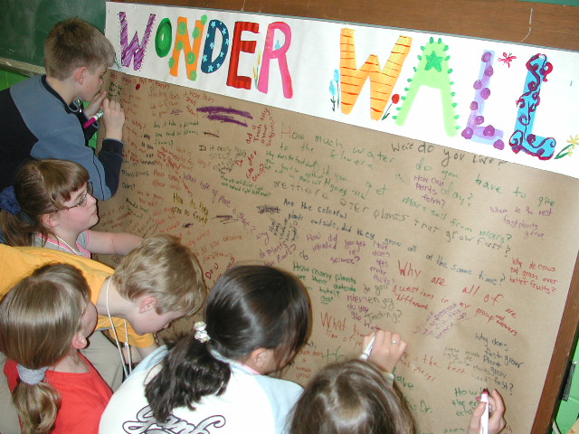 Fig 1:  Children at the Wonder Wall