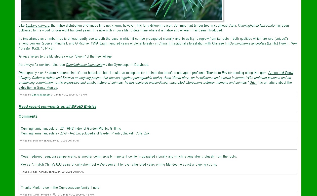 Fig 6: An example of a daily resource link from a Botany Photo of the Day entry