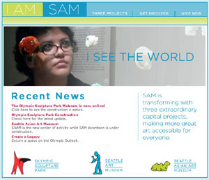 Various art museum Web treatments for special sections about building expansions