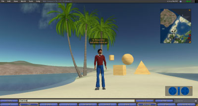 Fig 1:  The Second Life client interface, showing a sample of primitive objects.