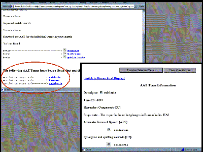 The AAT as accessed from the Census interface