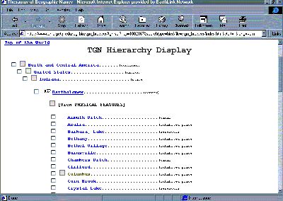 hierarchical display