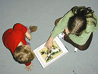 Peer mentoring