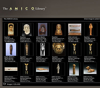 Sample Cartography Associates returns page screen shot