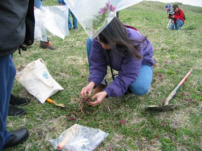 Collecting plants
