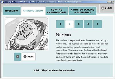 Diagram: Chromo-Zoom on the Nucleus