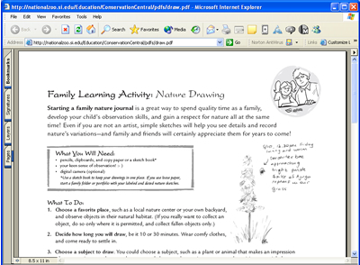 Family Learning Activities