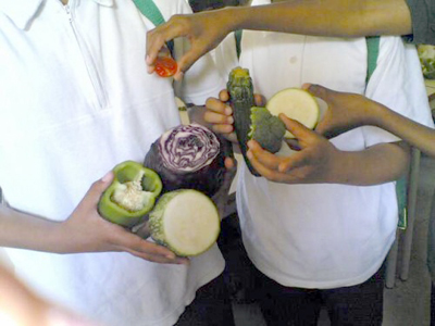 Fig 4: Resulting photo of vegetables as uploaded to Web site.